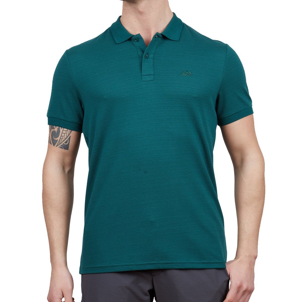 Alpinist Roc Erkek Polo T-Shirt